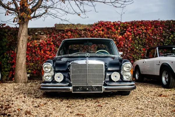 BlueChip Casino Android/iOS Forrit